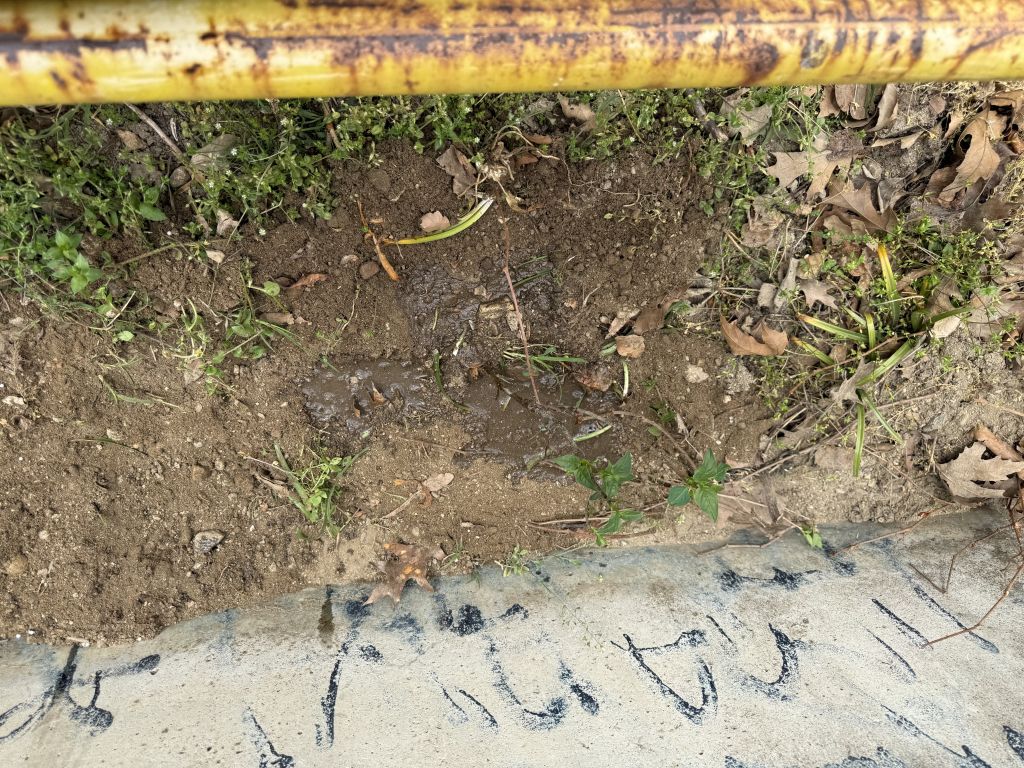 Зелена инициатива в 3. ОУ „Димитър Талев“ по повод Деня на Земята  - 3 ОУ Димитър Талев - Благоевград